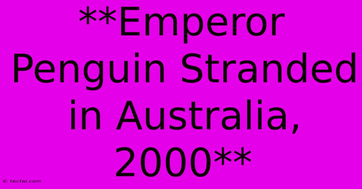 **Emperor Penguin Stranded In Australia, 2000**