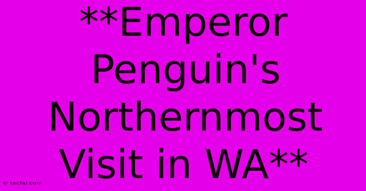 **Emperor Penguin's Northernmost Visit In WA**