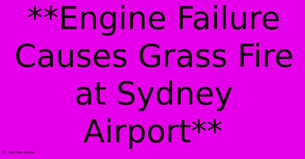 **Engine Failure Causes Grass Fire At Sydney Airport**