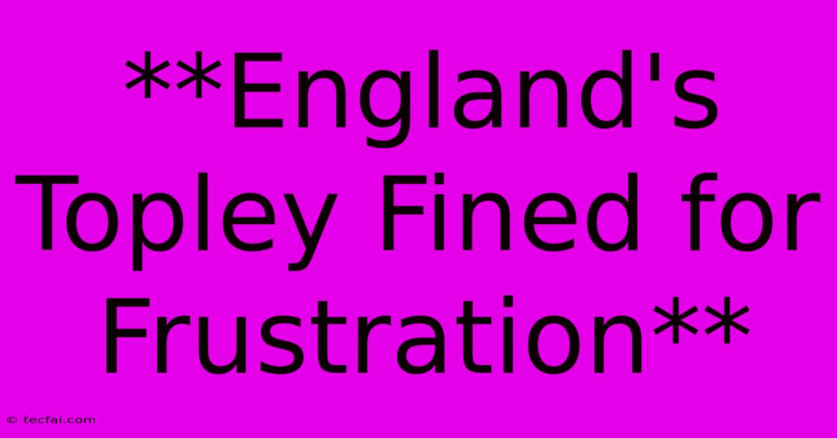 **England's Topley Fined For Frustration**