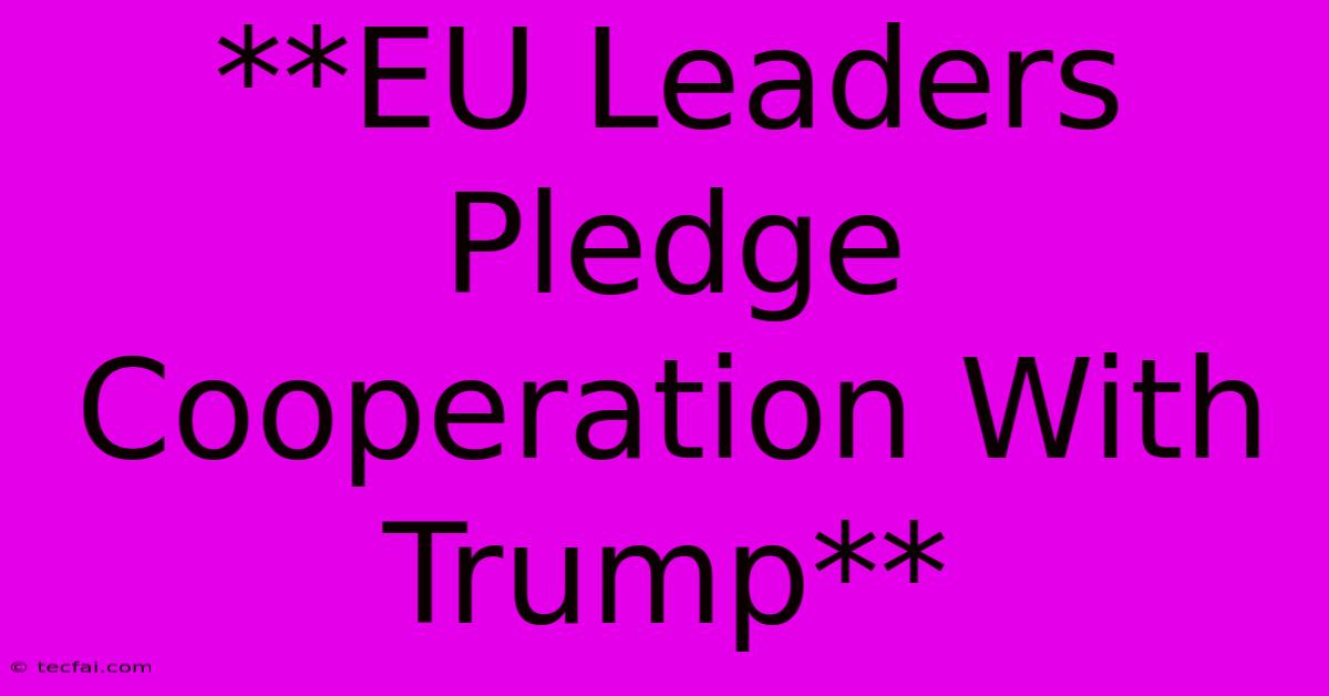 **EU Leaders Pledge Cooperation With Trump**