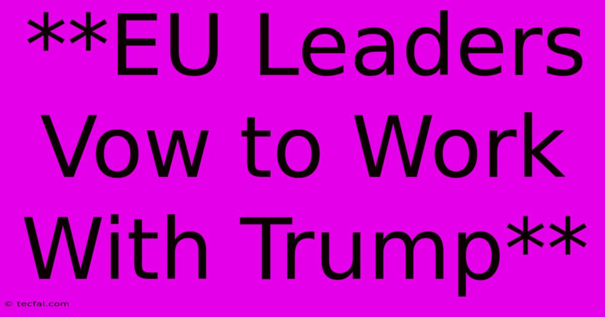 **EU Leaders Vow To Work With Trump** 