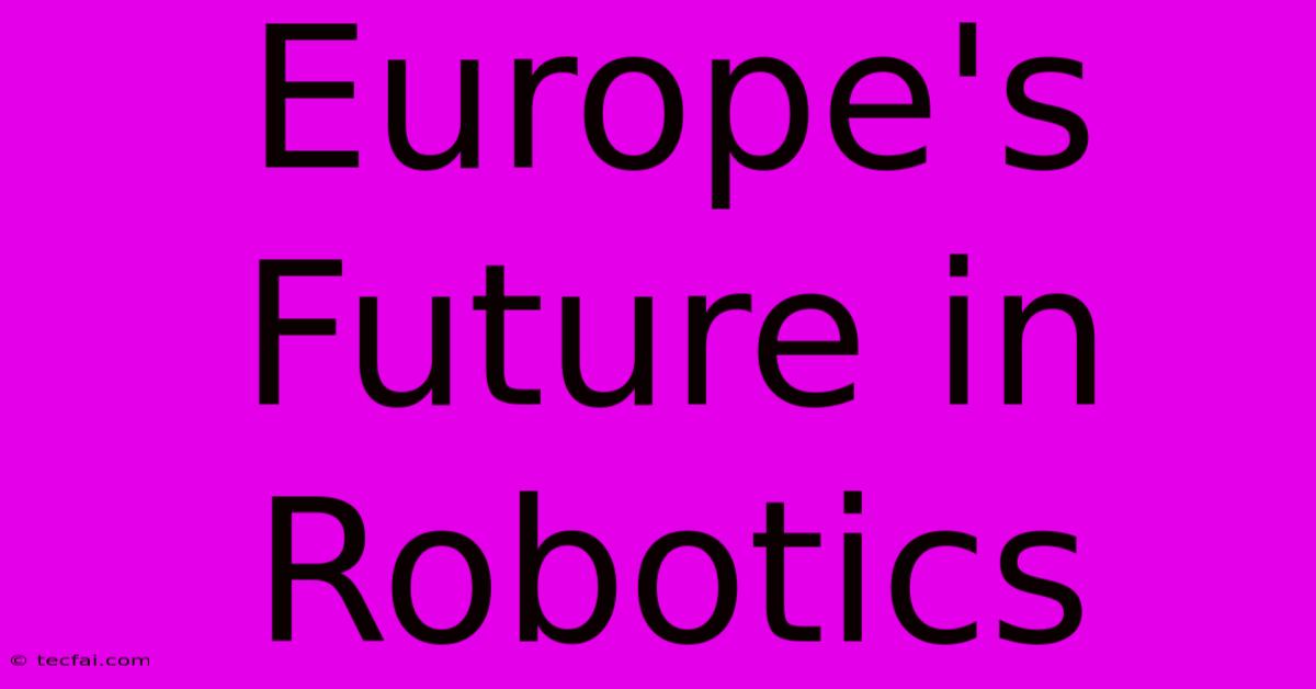 Europe's Future In Robotics