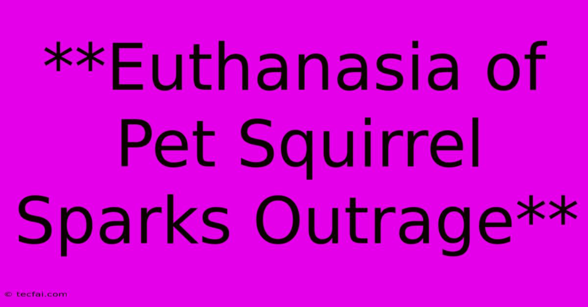 **Euthanasia Of Pet Squirrel Sparks Outrage**