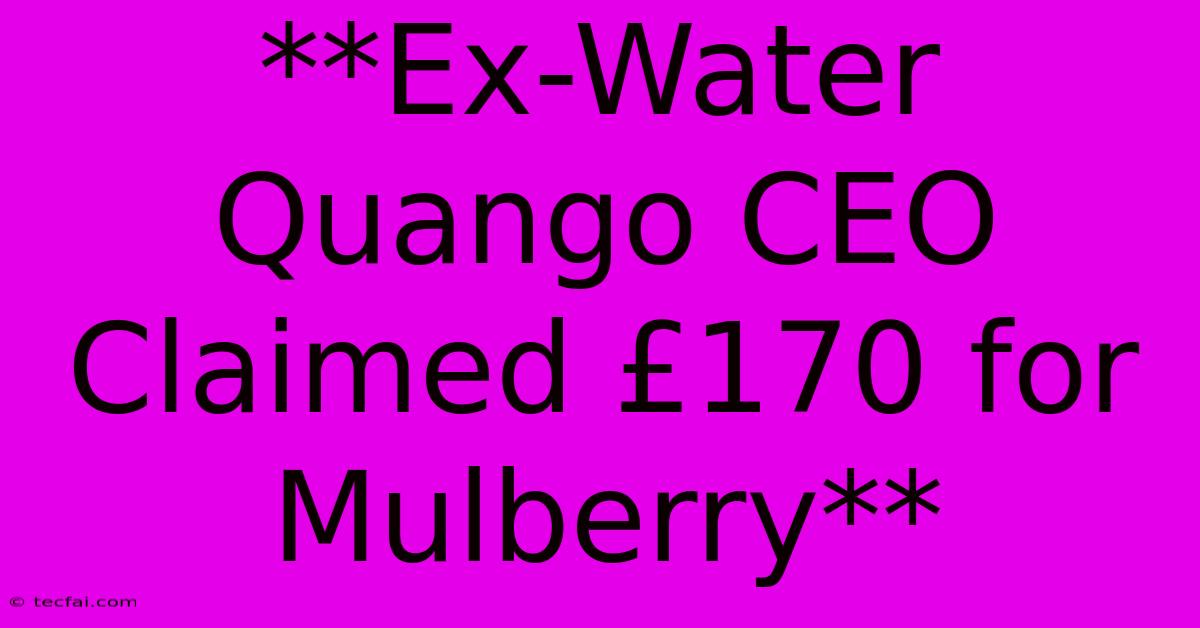 **Ex-Water Quango CEO Claimed £170 For Mulberry**