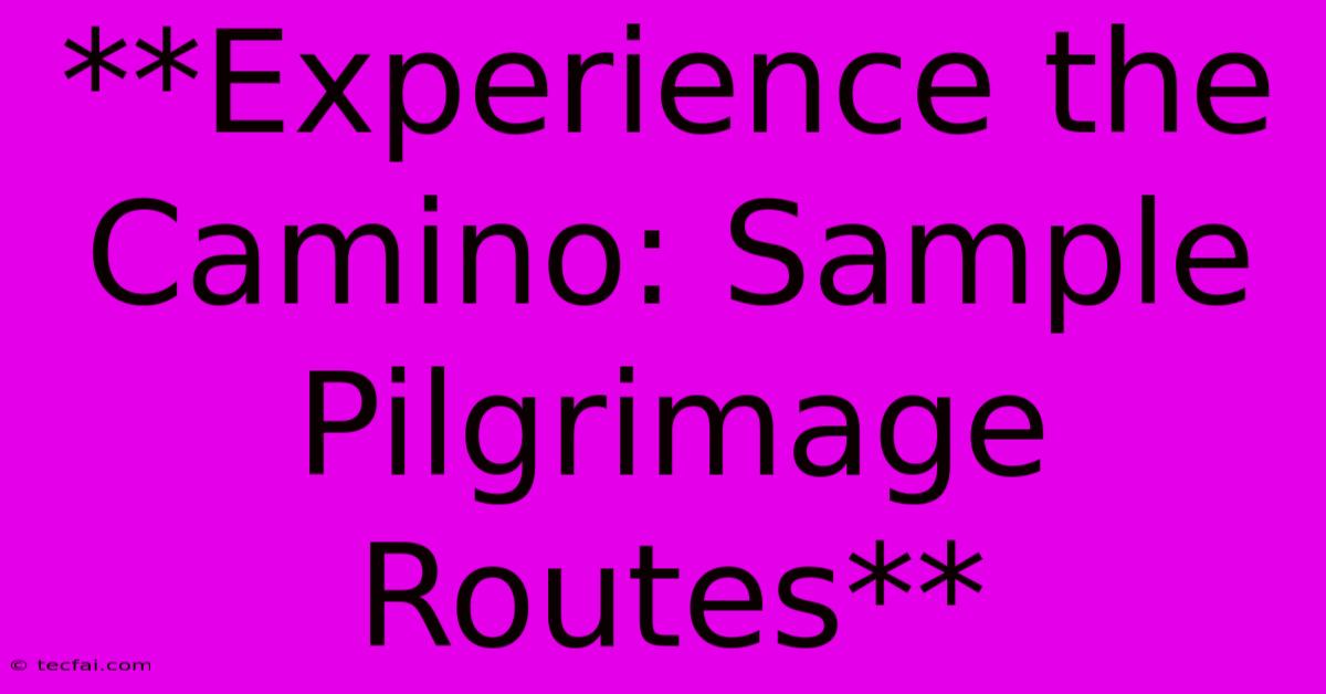 **Experience The Camino: Sample Pilgrimage Routes**