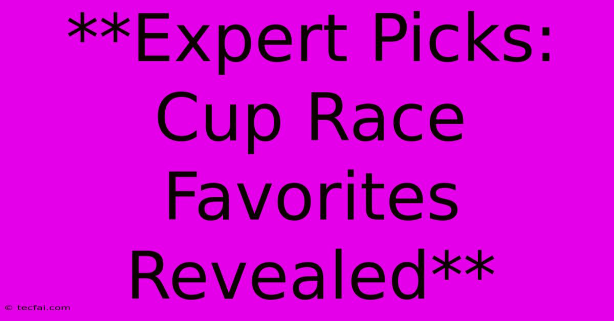 **Expert Picks: Cup Race Favorites Revealed**