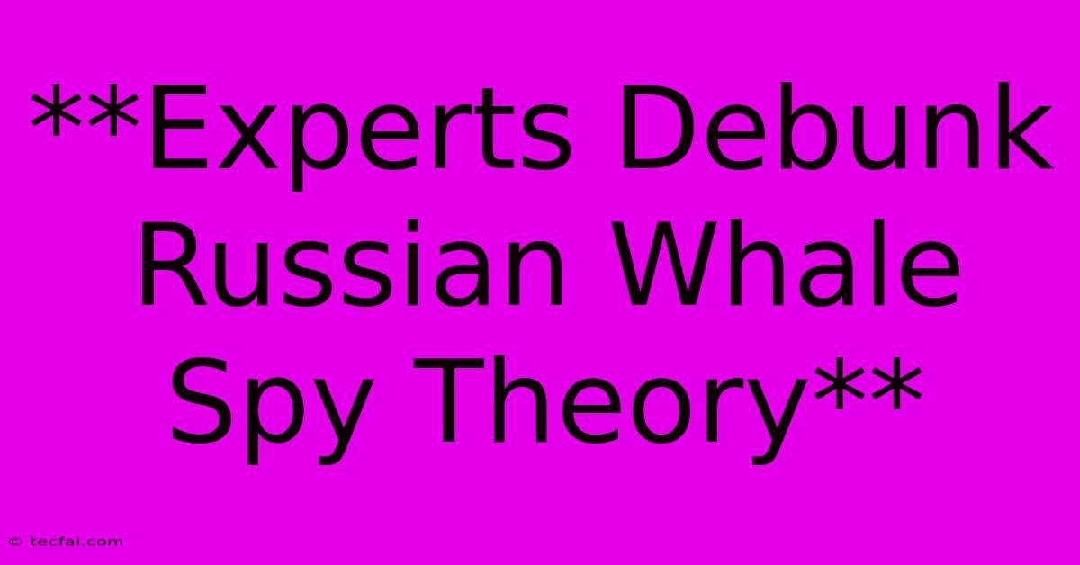 **Experts Debunk Russian Whale Spy Theory**