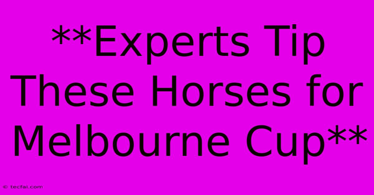 **Experts Tip These Horses For Melbourne Cup**