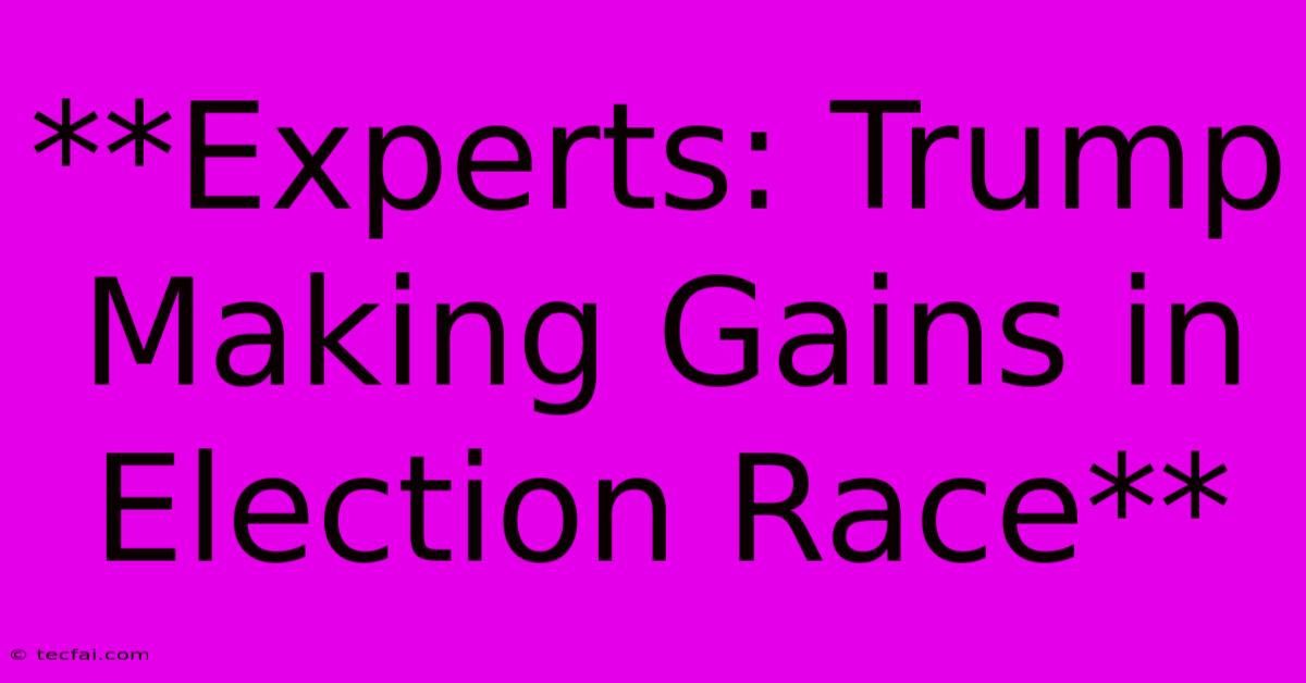 **Experts: Trump Making Gains In Election Race**