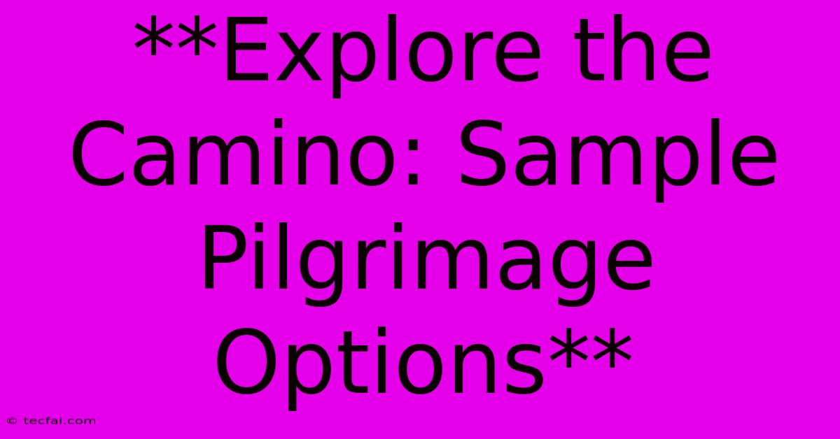 **Explore The Camino: Sample Pilgrimage Options** 