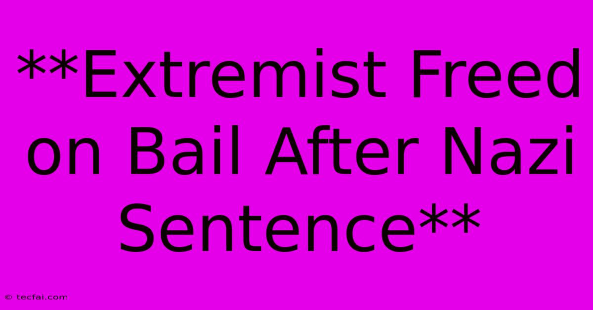 **Extremist Freed On Bail After Nazi Sentence**