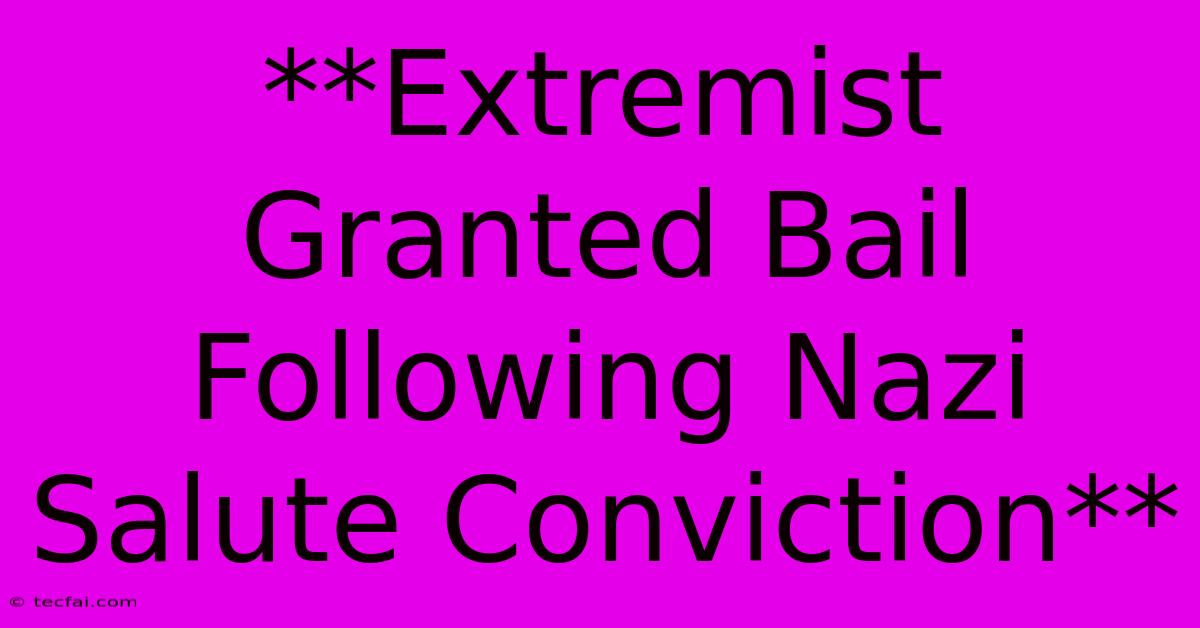 **Extremist Granted Bail Following Nazi Salute Conviction**