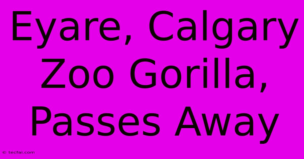 Eyare, Calgary Zoo Gorilla, Passes Away