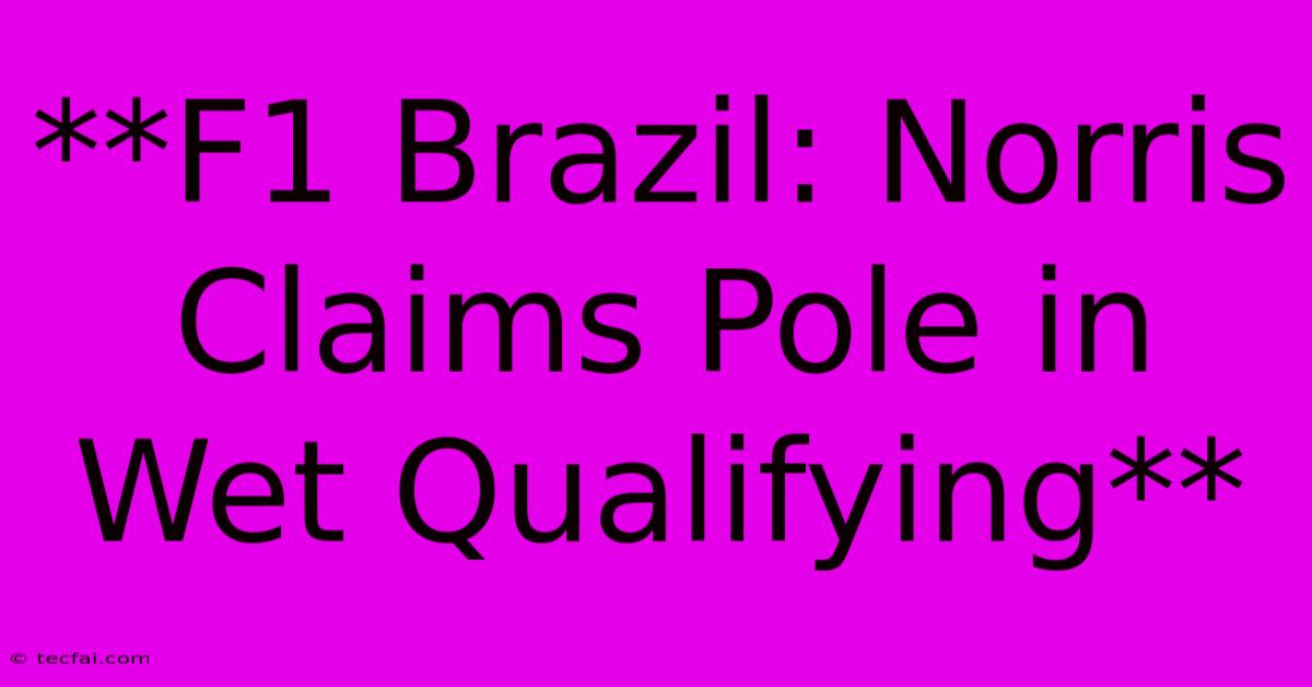 **F1 Brazil: Norris Claims Pole In Wet Qualifying**