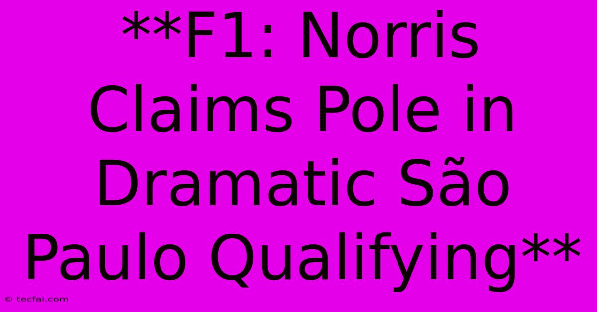 **F1: Norris Claims Pole In Dramatic São Paulo Qualifying**