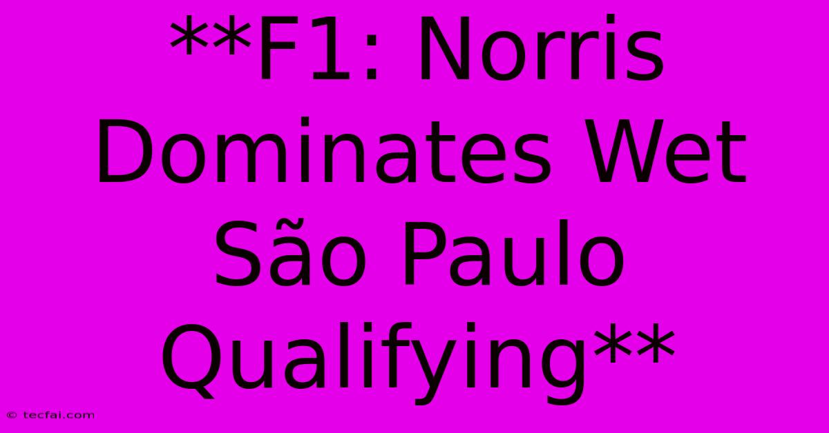 **F1: Norris Dominates Wet São Paulo Qualifying**