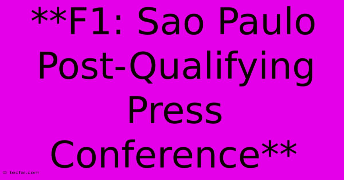 **F1: Sao Paulo Post-Qualifying Press Conference**