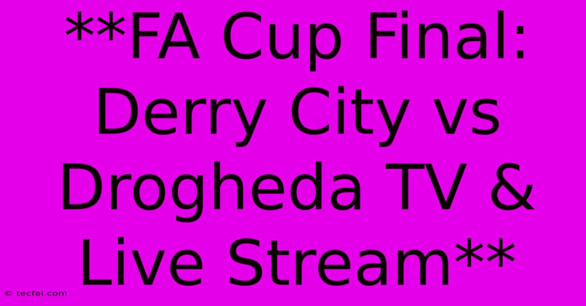 **FA Cup Final: Derry City Vs Drogheda TV & Live Stream** 