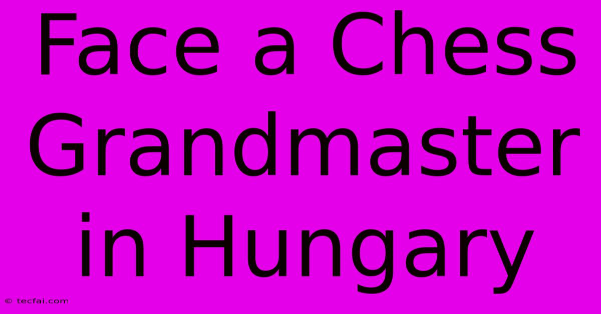 Face A Chess Grandmaster In Hungary