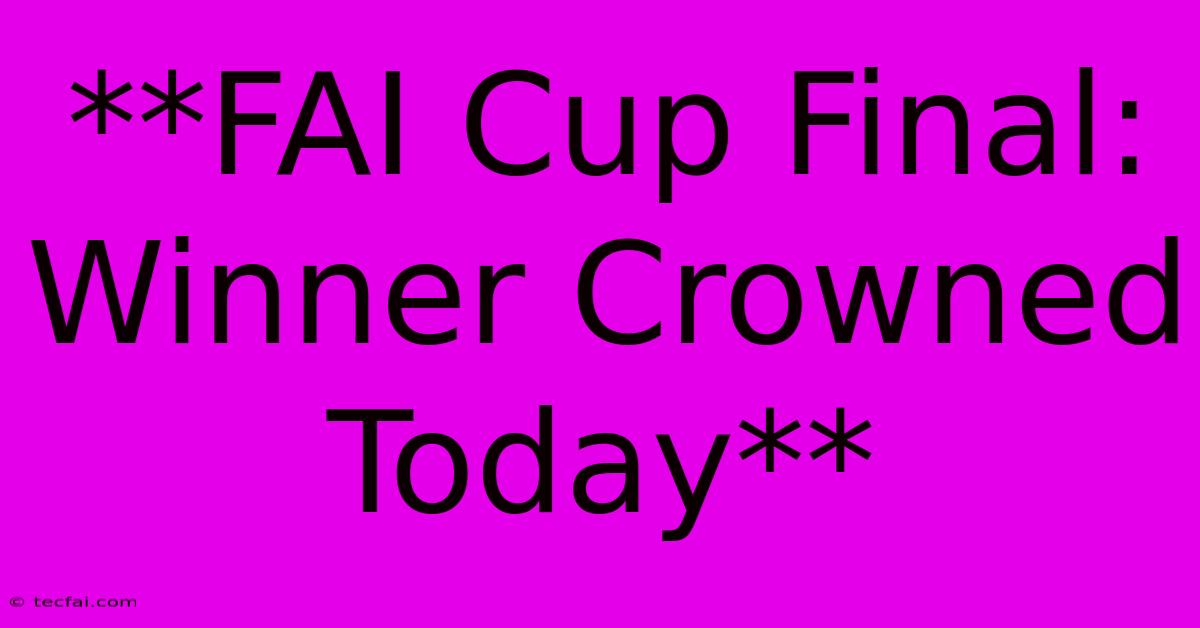 **FAI Cup Final: Winner Crowned Today**