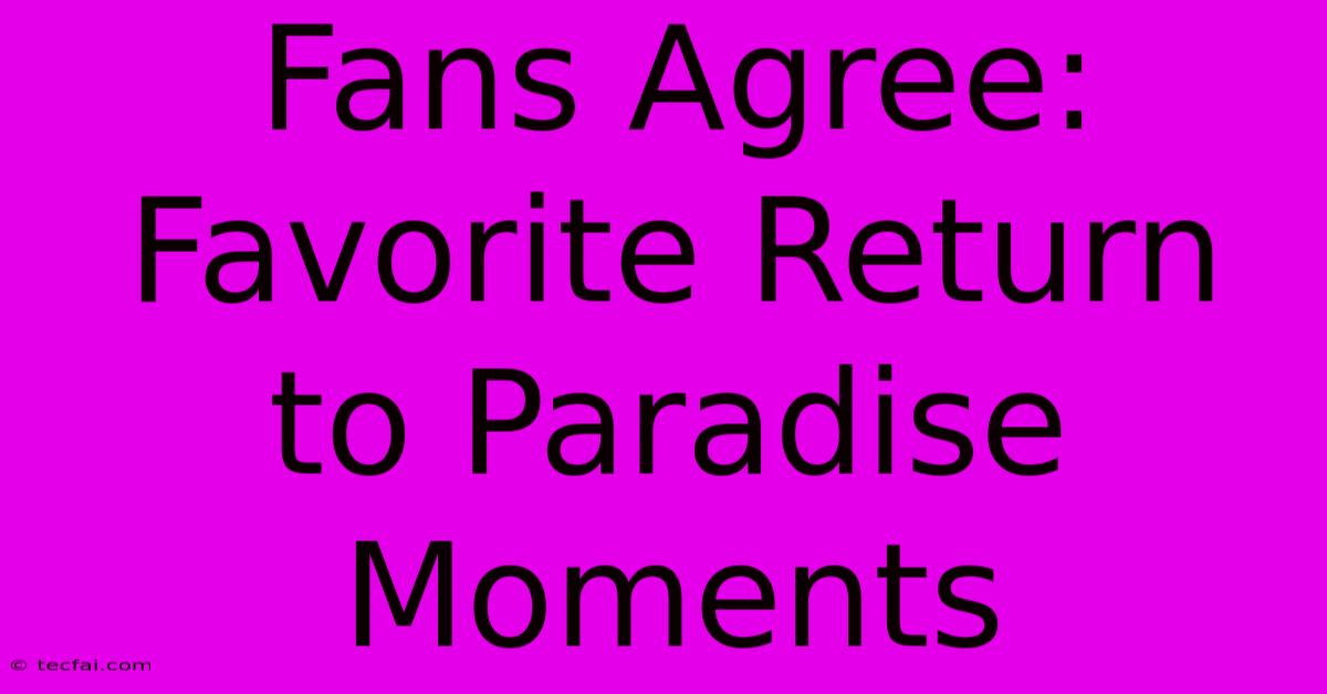 Fans Agree: Favorite Return To Paradise Moments