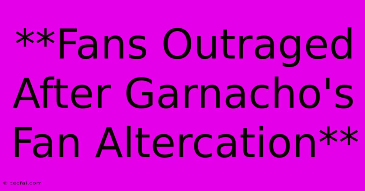 **Fans Outraged After Garnacho's Fan Altercation**