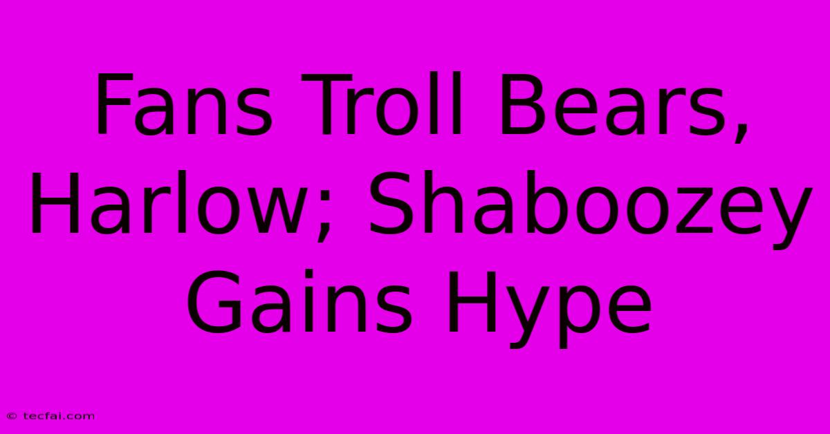 Fans Troll Bears, Harlow; Shaboozey Gains Hype