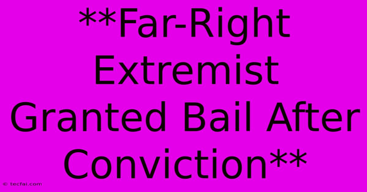 **Far-Right Extremist Granted Bail After Conviction**