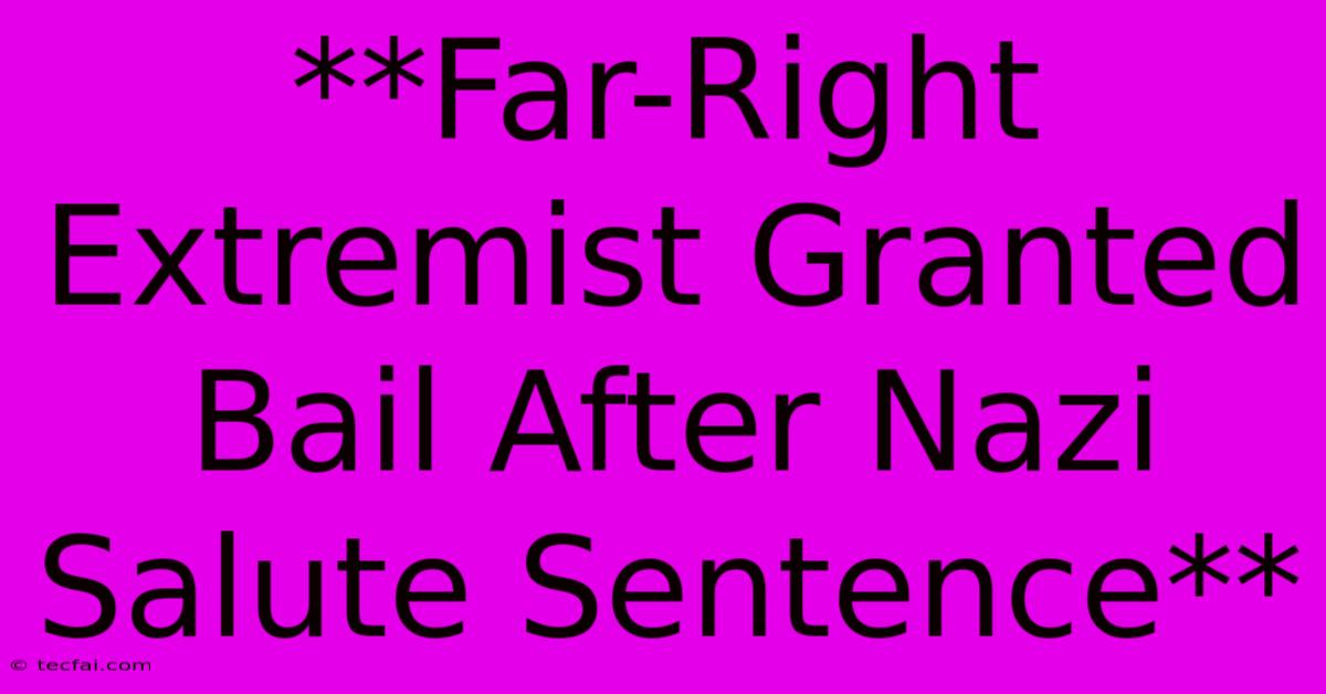 **Far-Right Extremist Granted Bail After Nazi Salute Sentence**