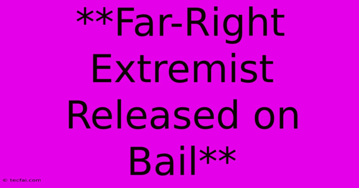 **Far-Right Extremist Released On Bail**