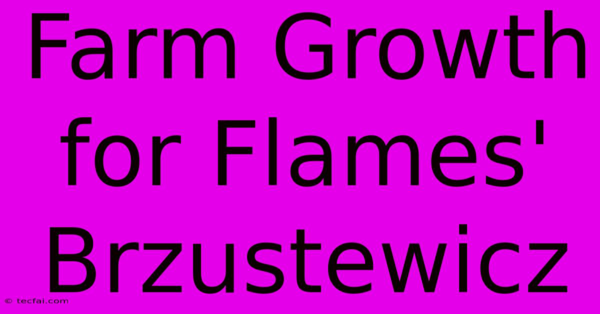 Farm Growth For Flames' Brzustewicz