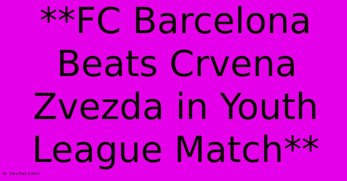 **FC Barcelona Beats Crvena Zvezda In Youth League Match**