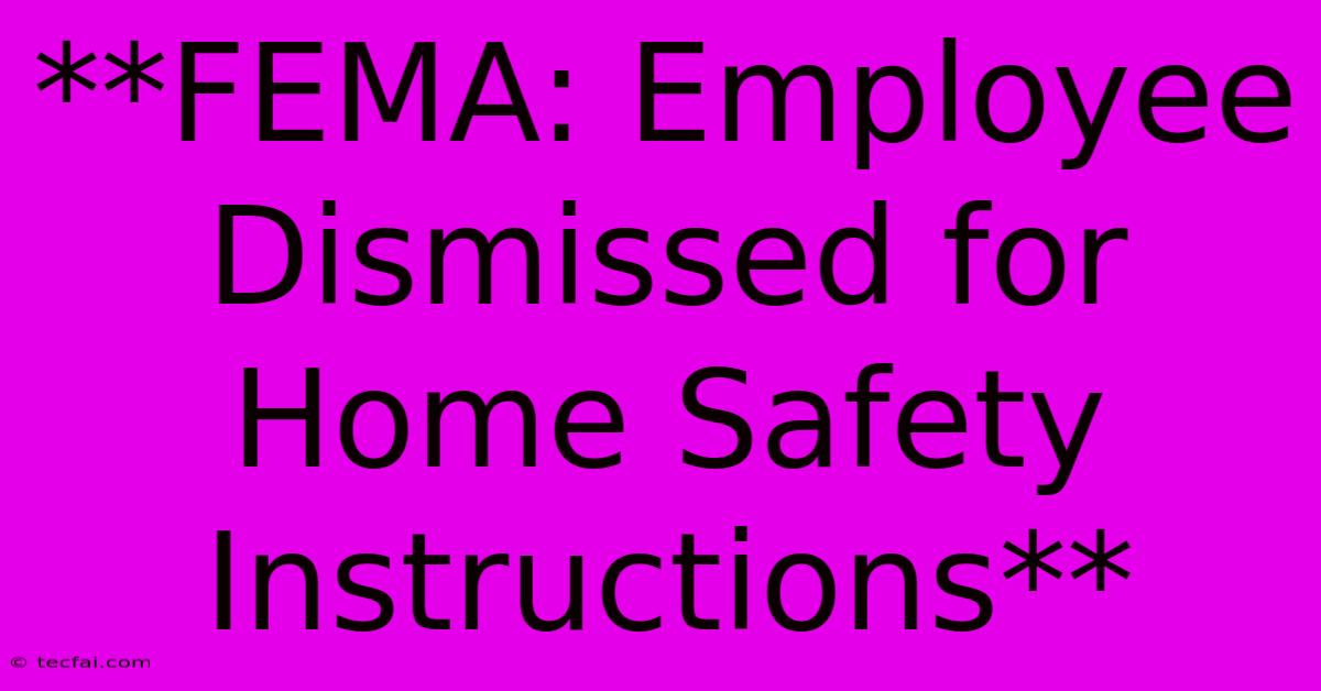 **FEMA: Employee Dismissed For Home Safety Instructions**