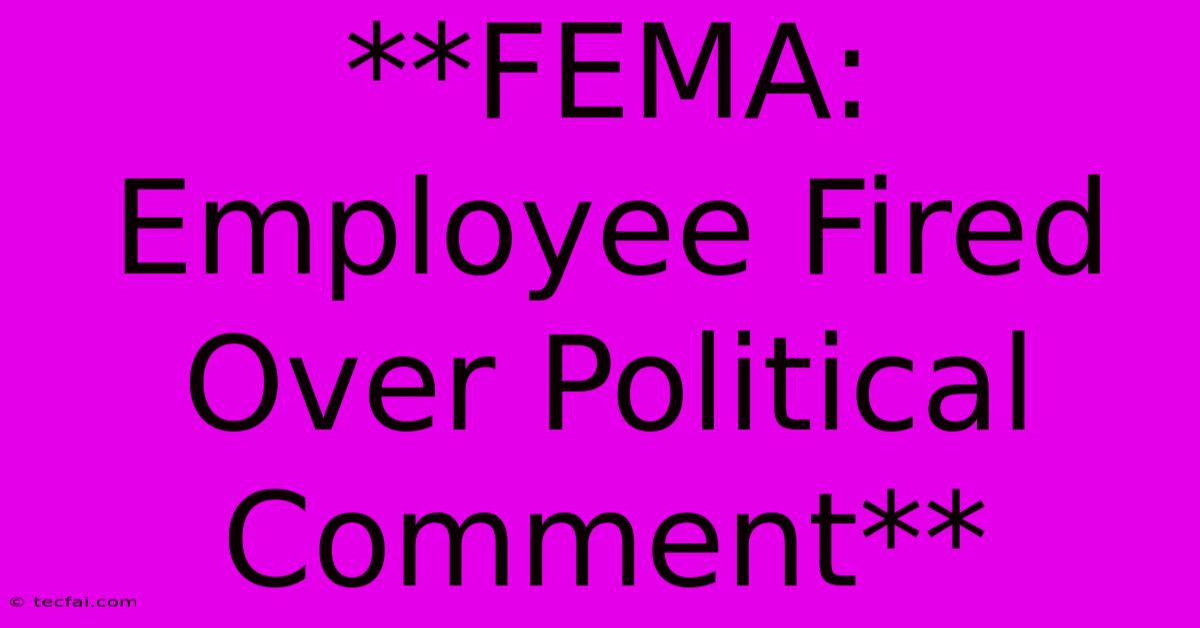 **FEMA: Employee Fired Over Political Comment** 