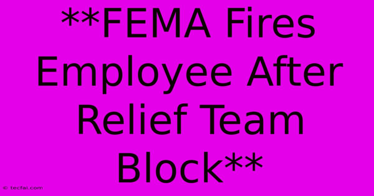 **FEMA Fires Employee After Relief Team Block**