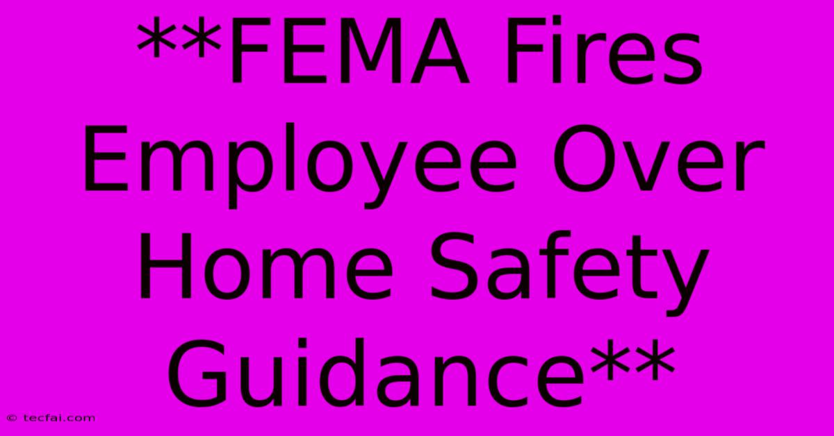 **FEMA Fires Employee Over Home Safety Guidance** 