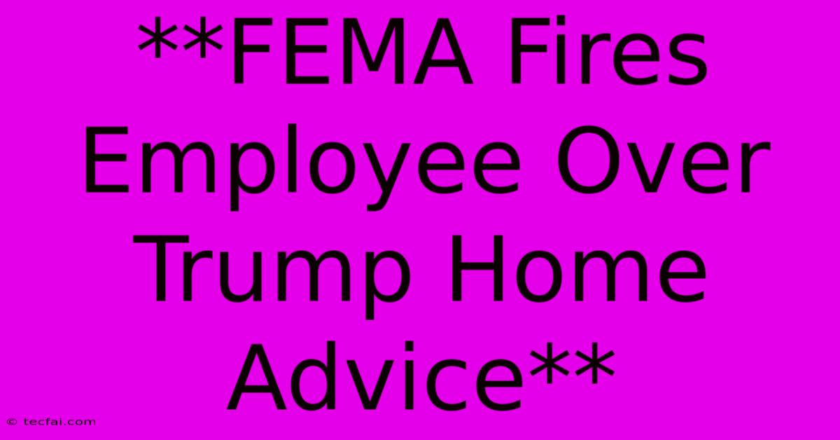 **FEMA Fires Employee Over Trump Home Advice**