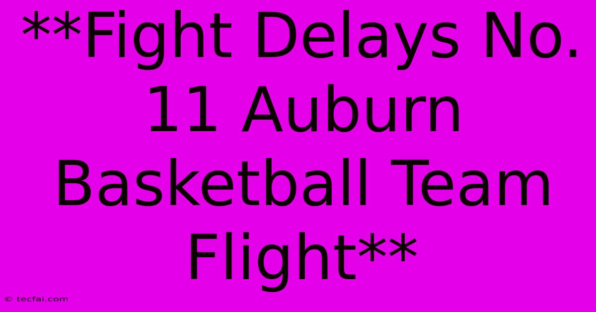 **Fight Delays No. 11 Auburn Basketball Team Flight**