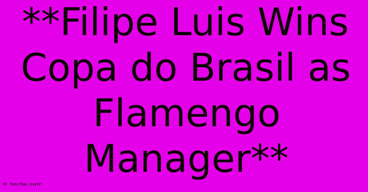 **Filipe Luis Wins Copa Do Brasil As Flamengo Manager**