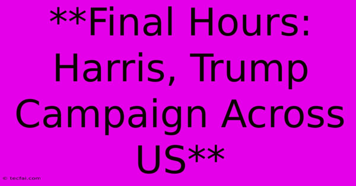 **Final Hours: Harris, Trump Campaign Across US**