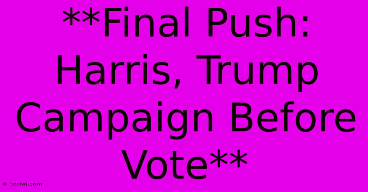 **Final Push: Harris, Trump Campaign Before Vote**