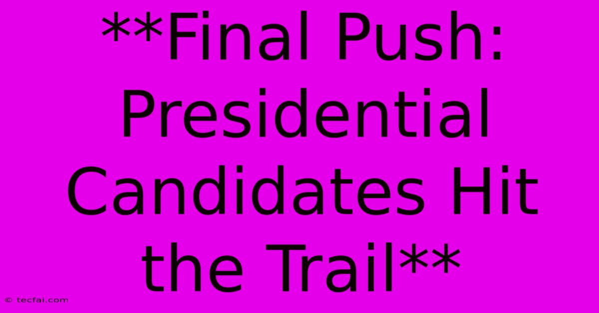 **Final Push: Presidential Candidates Hit The Trail**