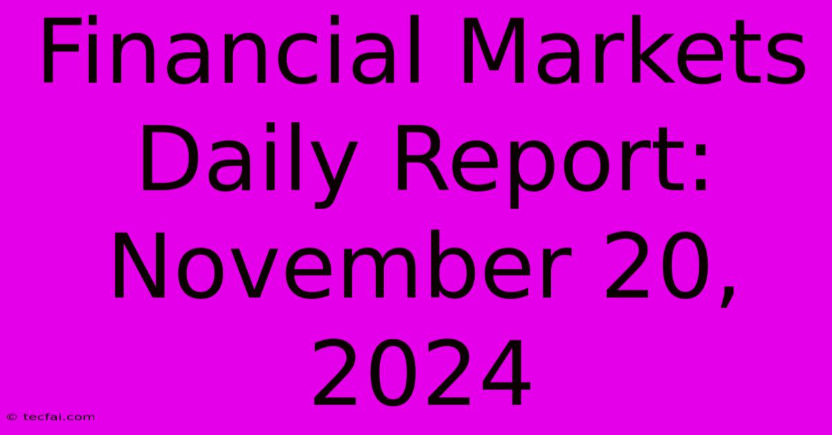 Financial Markets Daily Report: November 20, 2024