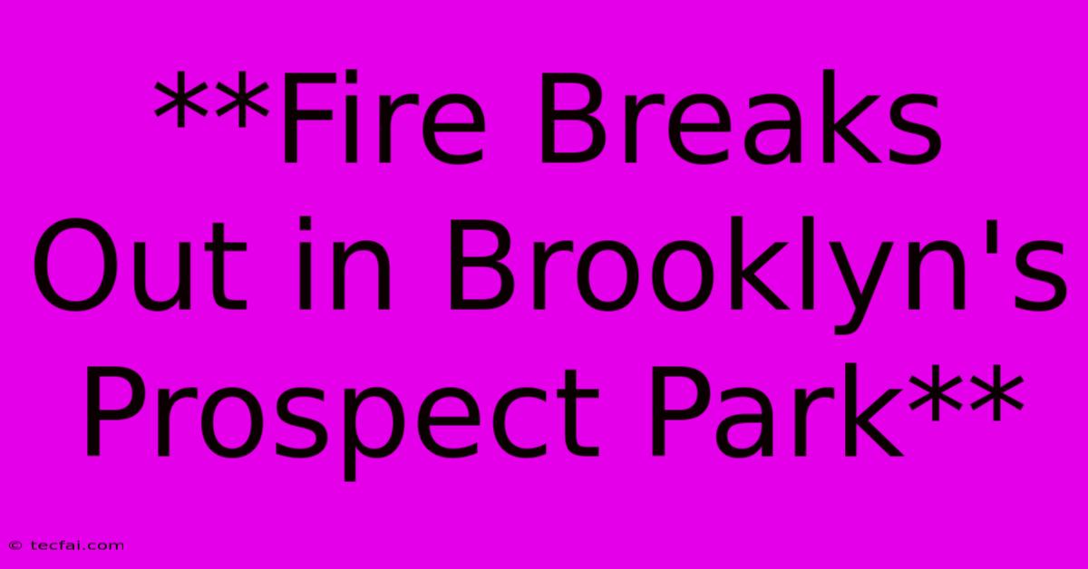 **Fire Breaks Out In Brooklyn's Prospect Park**