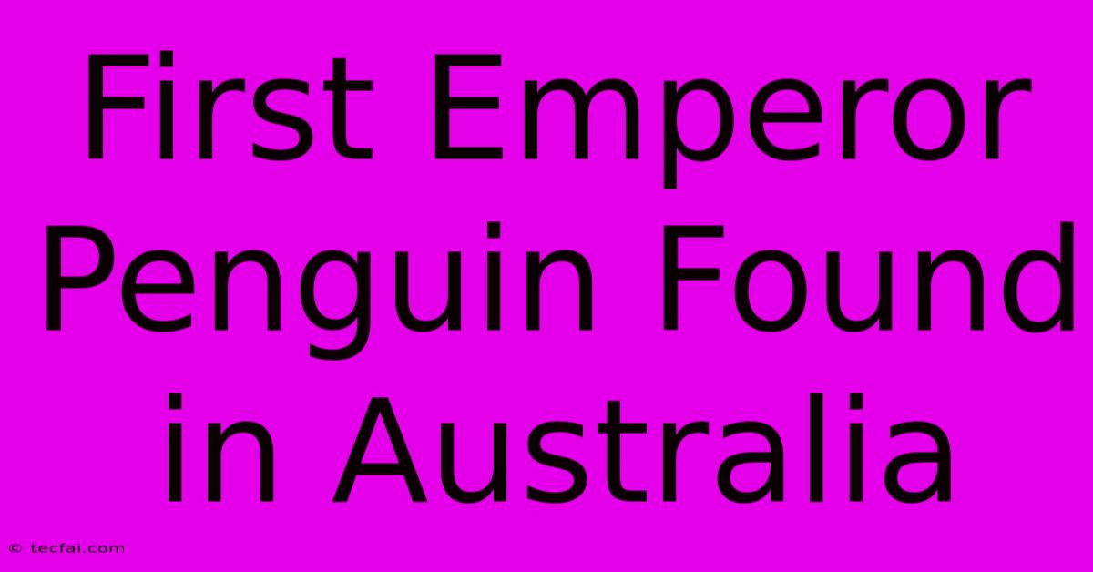 First Emperor Penguin Found In Australia