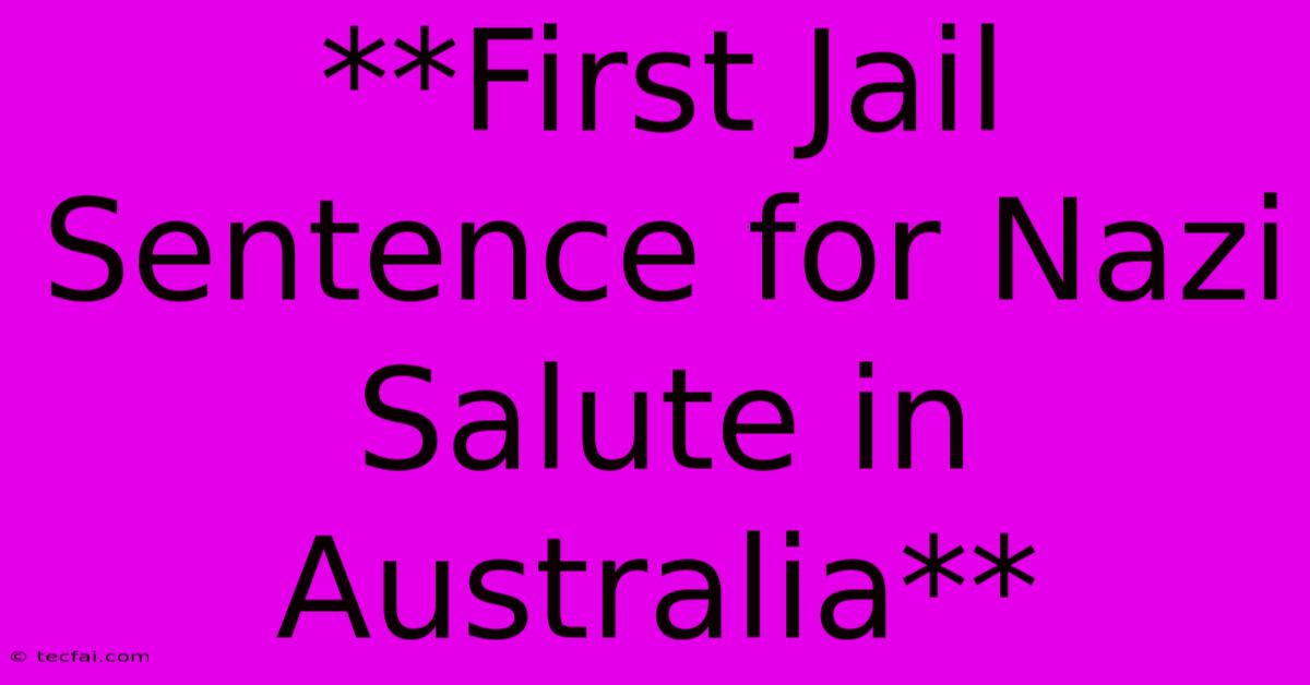 **First Jail Sentence For Nazi Salute In Australia**