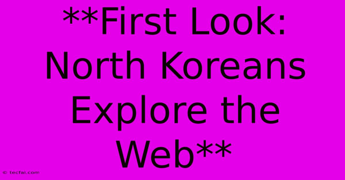 **First Look: North Koreans Explore The Web**