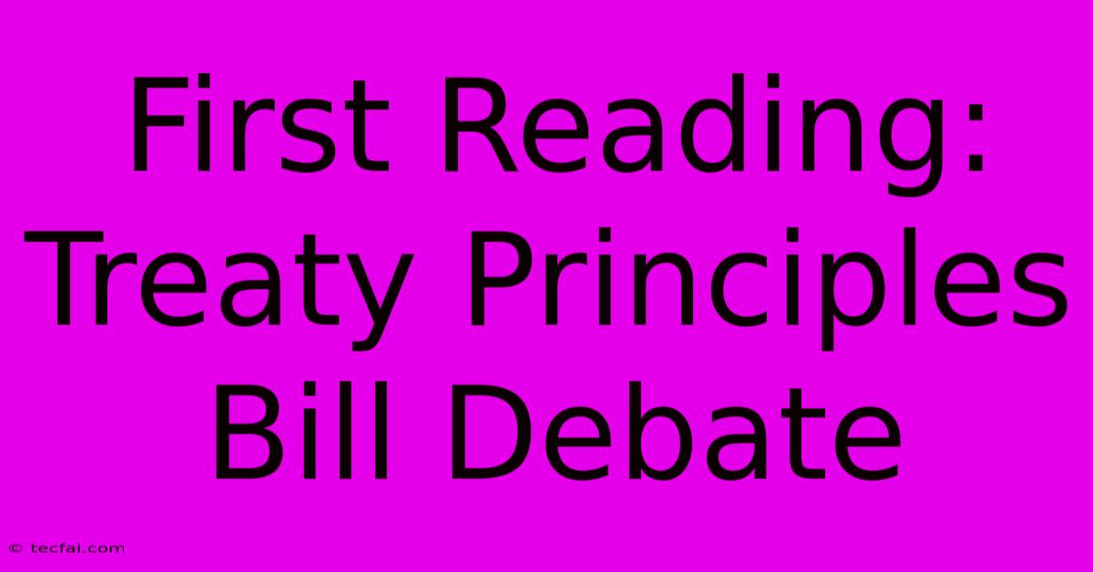 First Reading: Treaty Principles Bill Debate