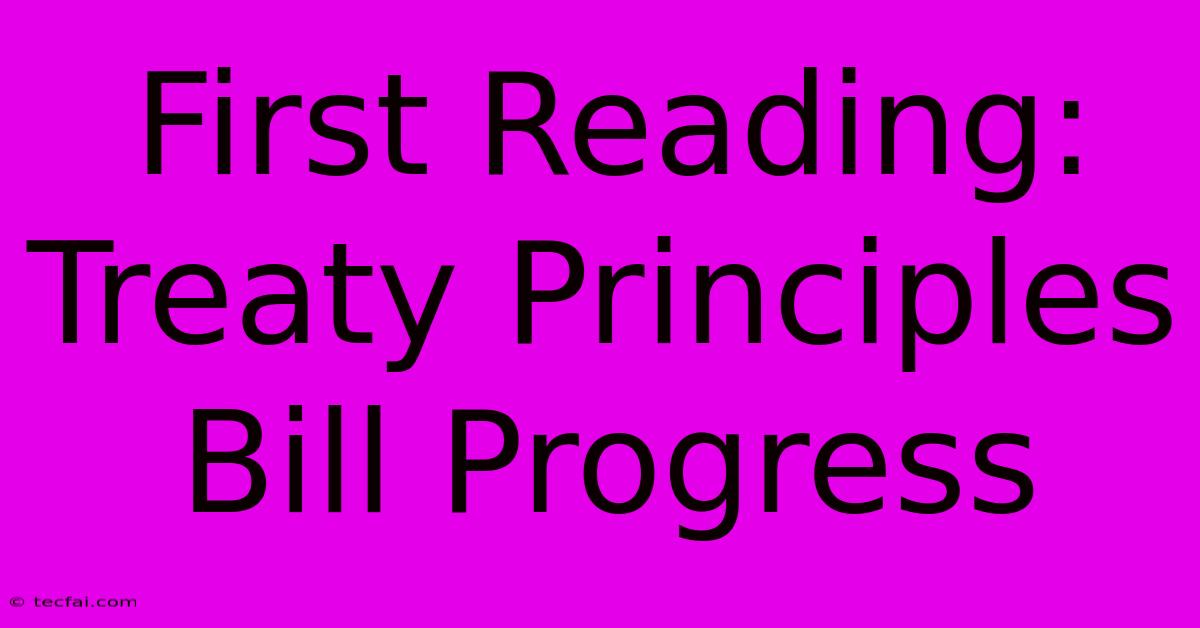 First Reading: Treaty Principles Bill Progress 